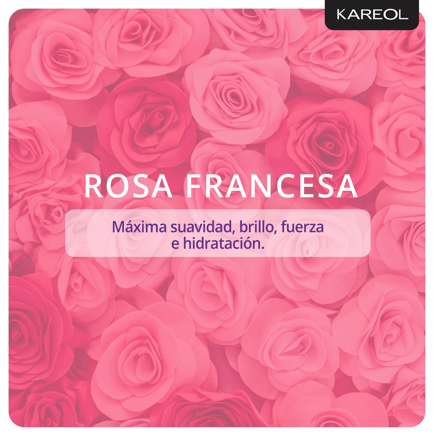 KAREOL ROSA FRANCESA SHAMPOO 10.1OZ 383010300