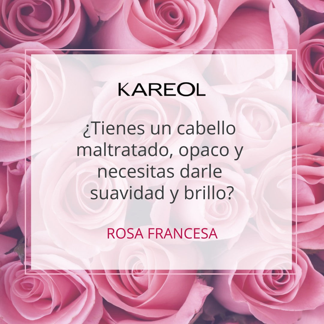 KAREOL ROSA FRANCESA SHAMPOO 10.1OZ 383010300