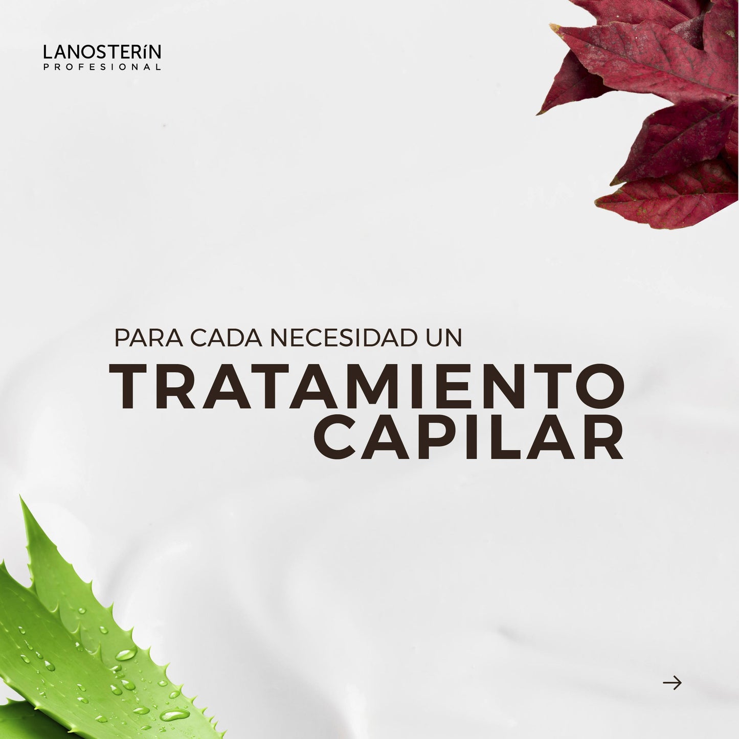 LANOSTERIN PROFESIONAL TRATAMIENTO INTENSIVO NUTRITIVO 17.6OZ 72200500